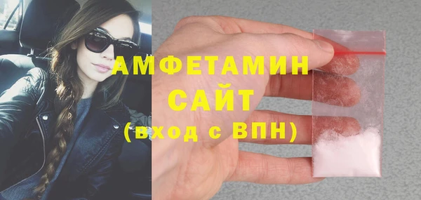 мет Алексин