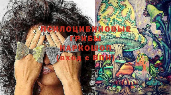 мет Алексин