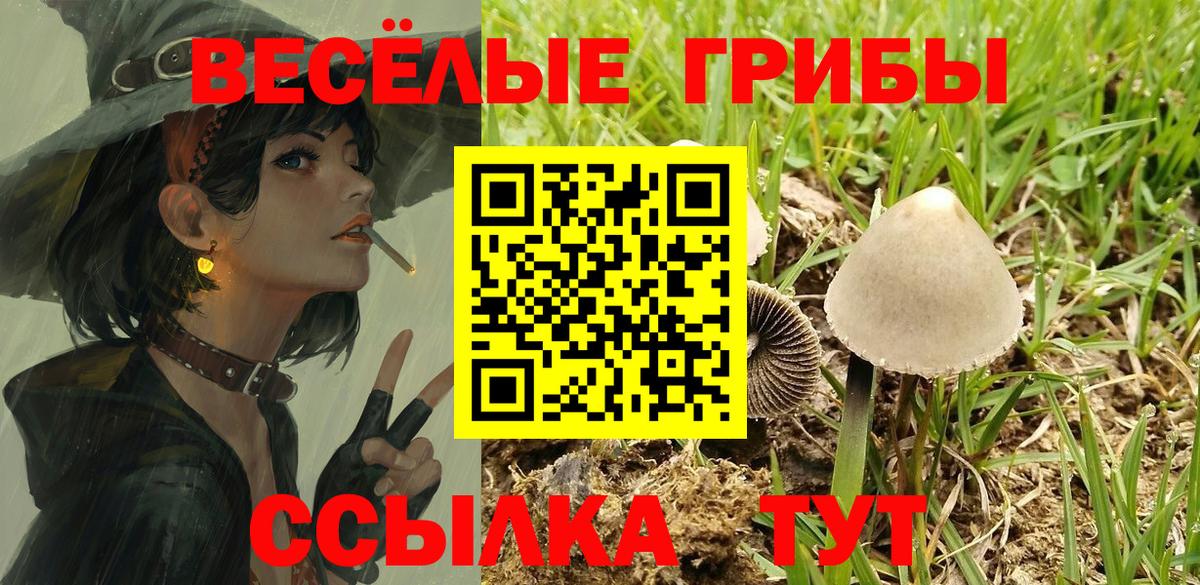 Псилоцибиновые грибы MAGIC MUSHROOMS Балабаново