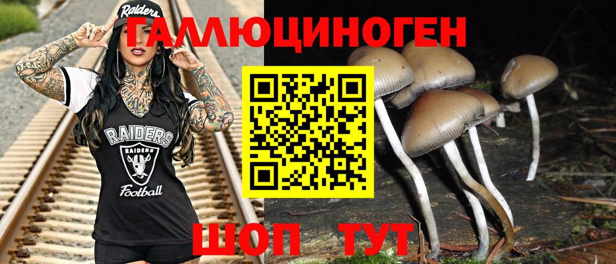 Балабаново  Галлюциногенные грибы Magic Shrooms  Вход с VPN  Галлюциногенные грибы Psilocybine cubensis 