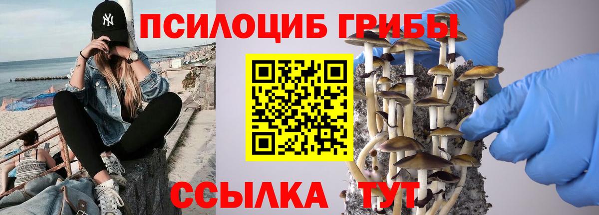 Галлюциногенные грибы Cubensis Балабаново